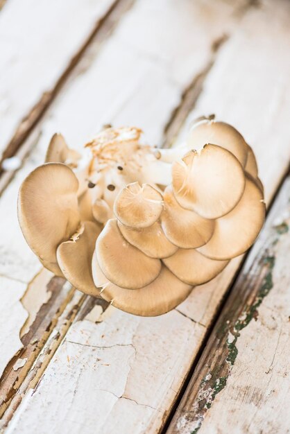 Close-up van paddenstoelen op tafel