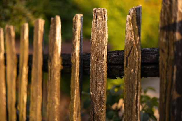 Close up van piket in een oude houten hek met groene achtergrond