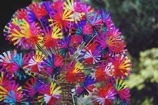 Foto close-up van pinwheels