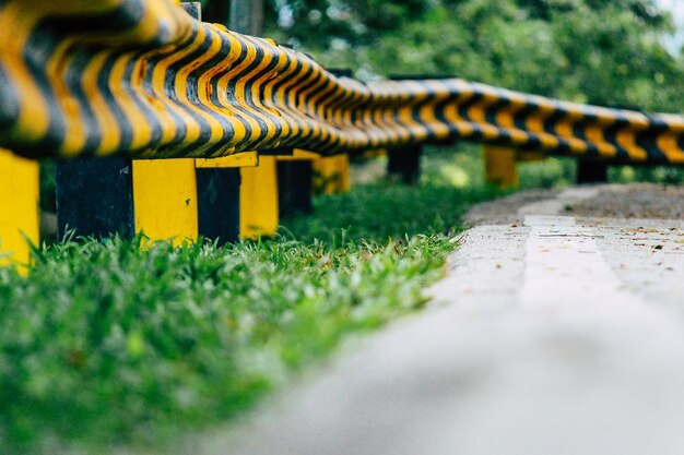 Foto close-up van planten die op het veld groeien