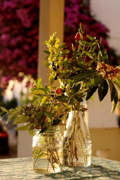 Close-up van planten in glazen vazen op tafel