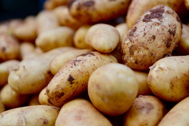 Foto close-up van pompoenen te koop op een marktstand