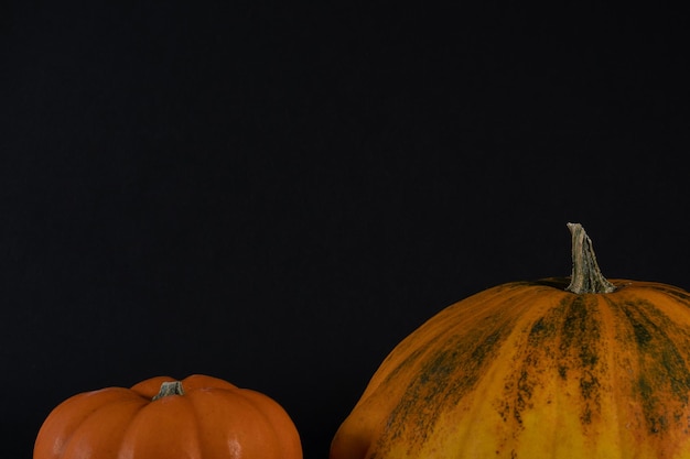 Foto close-up van pompoenen tegen een zwarte achtergrond