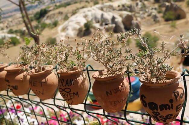 Foto close-up van potplanten op tafel