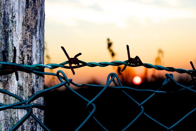 Foto close-up van prikkeldraad tegen de lucht