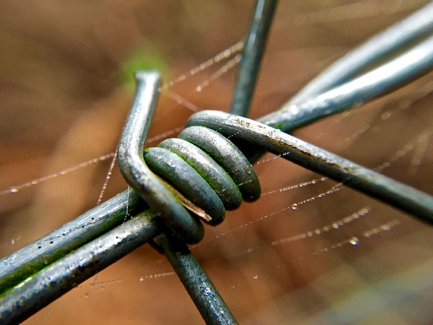 Close-up van prikkeldraad