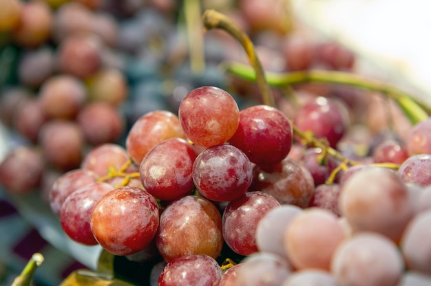 Close-up van rijpe druiventrossen die hun textuur en glans levendig vastleggen