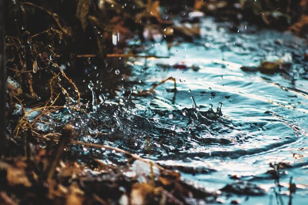 Close-up van rimpelend water in een meer