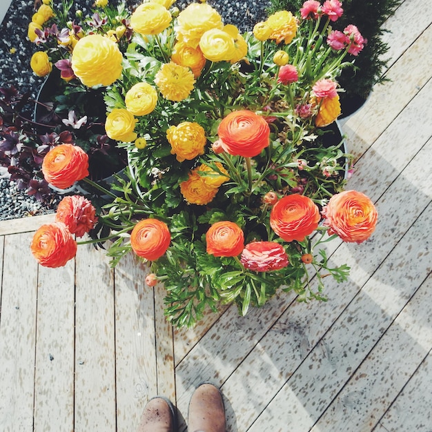 Foto close-up van rode bloemen