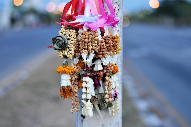 Foto close-up van rode bloemknoppen op straat