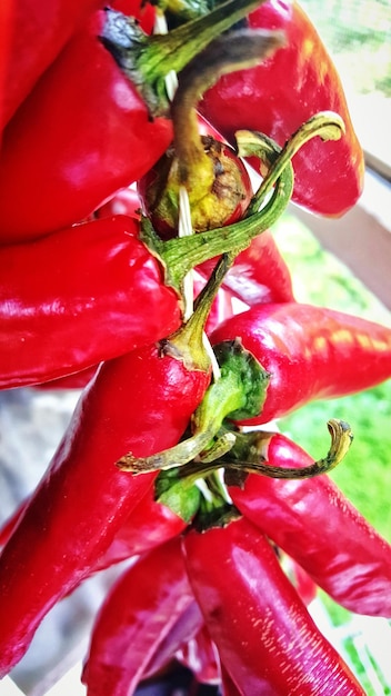 Foto close-up van rode chili pepers