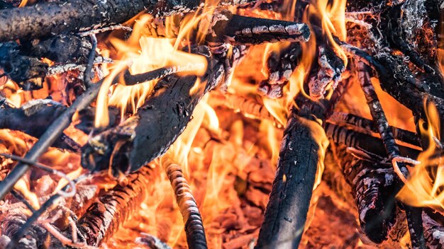 Foto close-up van rode levende kolen en vlam in het vreugdevuur, siberië.