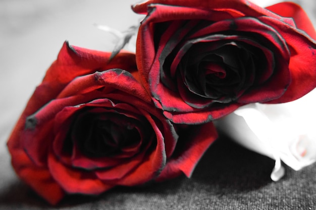 Foto close-up van rode rozen op tafel