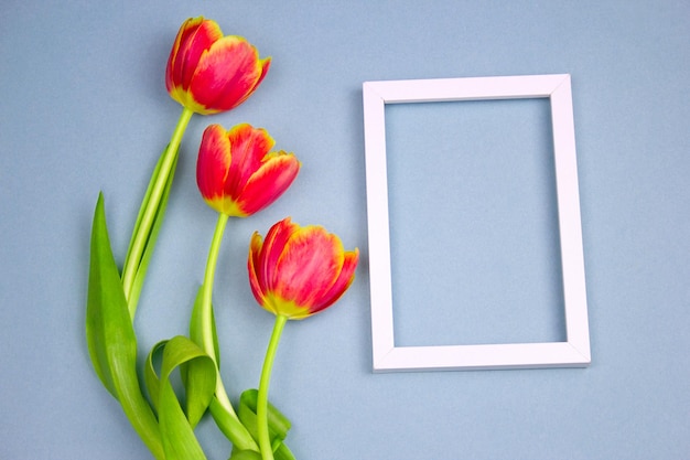 Close-up van rode tulpen op tafel