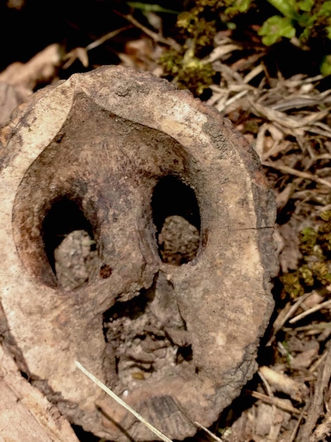 Foto close-up van roestige metaal