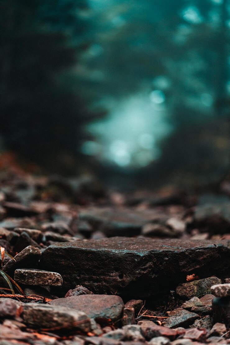 Foto close-up van rotsen op het land in het bos