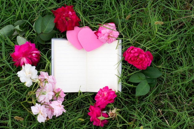 Foto close-up van roze bloeiende planten op het veld