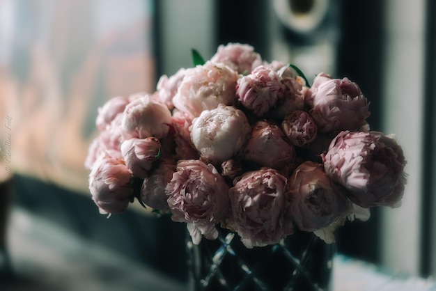 Close-up van roze bloemen in een vaas bij het raam