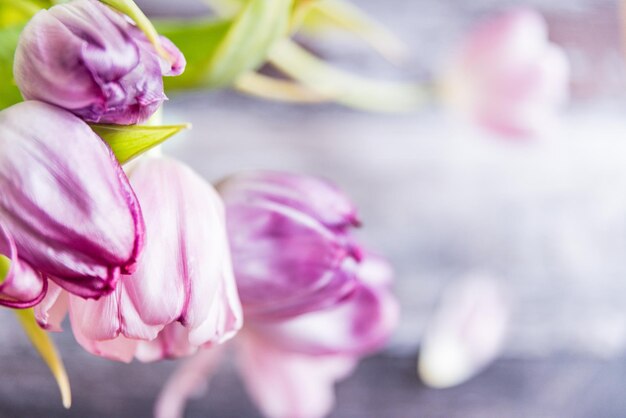 Close-up van roze bloemen