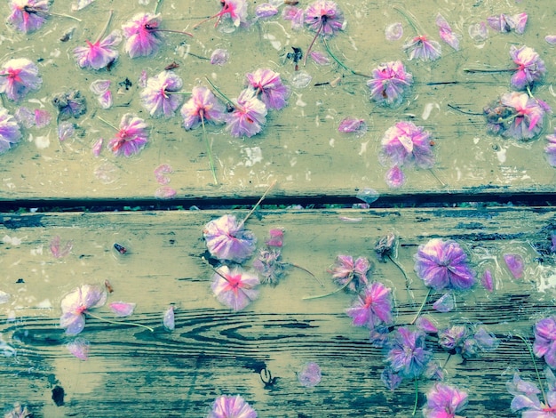 Foto close-up van roze bloemen