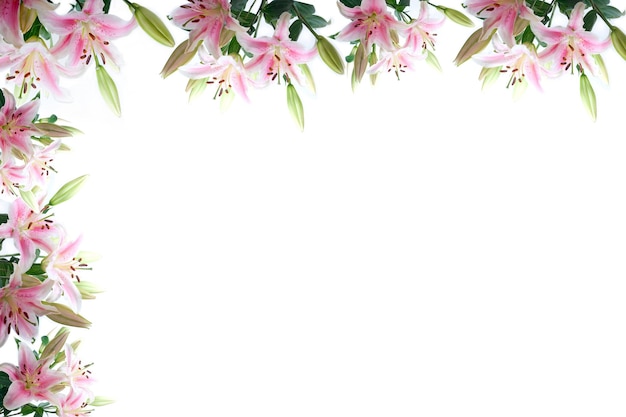 Foto close-up van roze lelies tegen een witte achtergrond