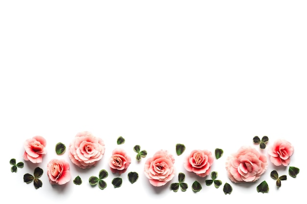 Foto close-up van roze rozen op witte achtergrond