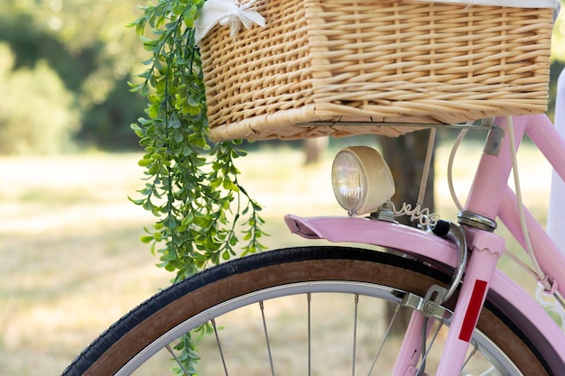 Close-up van roze vintage retro fiets met licht vooraan rieten mand en hangende planten