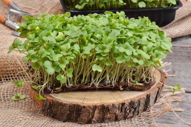 Close-up van rucola op een natuurlijke houten rug en jute