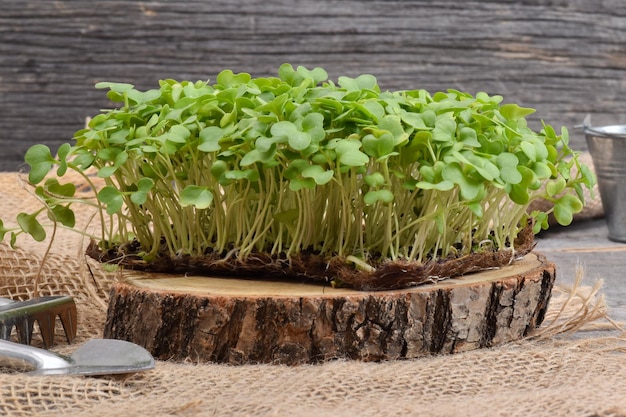 Close-up van rucola op een natuurlijke houten rug en jute