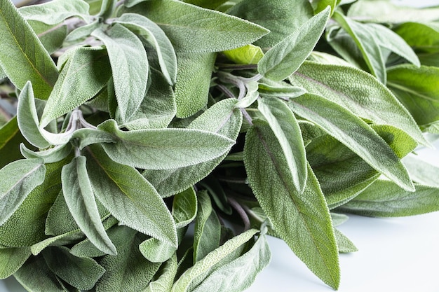 Close-up van salie laat verse Salvia officinalis op houten tafel