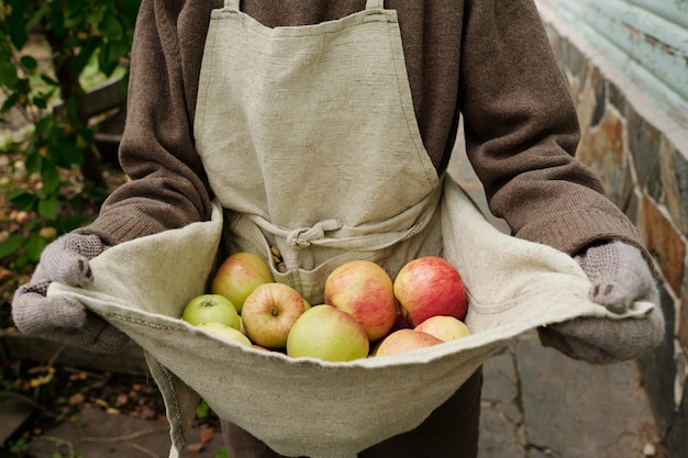 Close-up van senior vrouwelijke tuinman of boer in werkkleding met rijpe appels