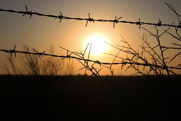 Close-up van silhouet prikkeldraad tegen de hemel tijdens zonsondergang