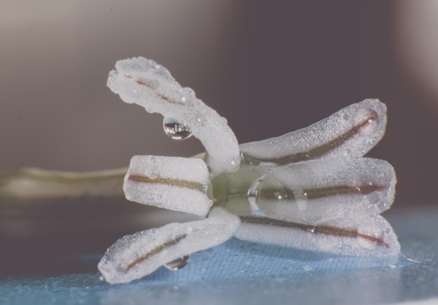 Foto close-up van sneeuw op tafel