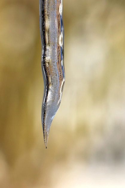 Foto close-up van sneeuw