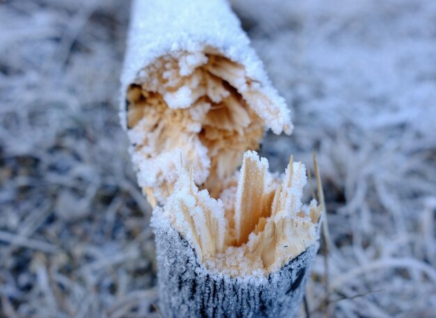 Foto close-up van sneeuw