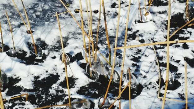 Foto close-up van sneeuw