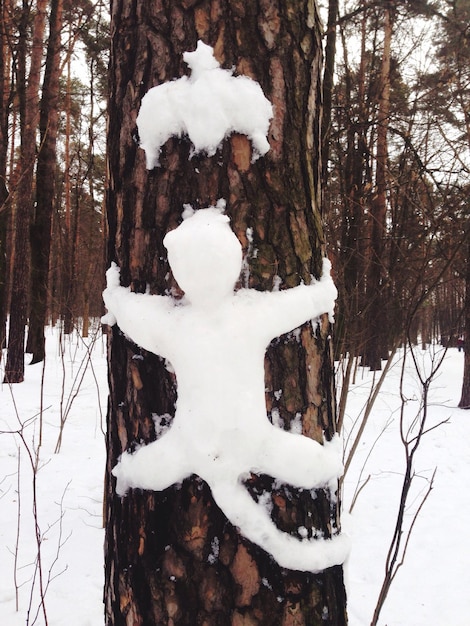 Foto close-up van sneeuwkunst op boomstam