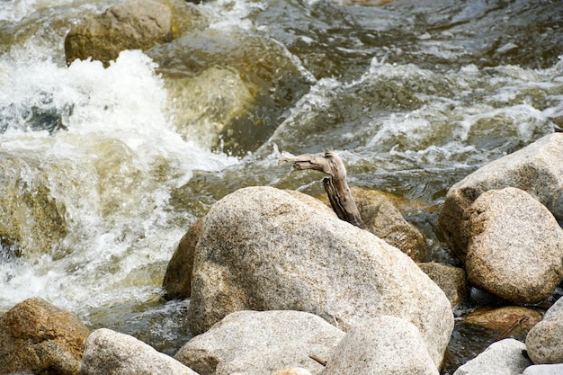 Close-up van snel stromend water tussen rotsen in de berg, kleine rotsen cascade. walker canyon