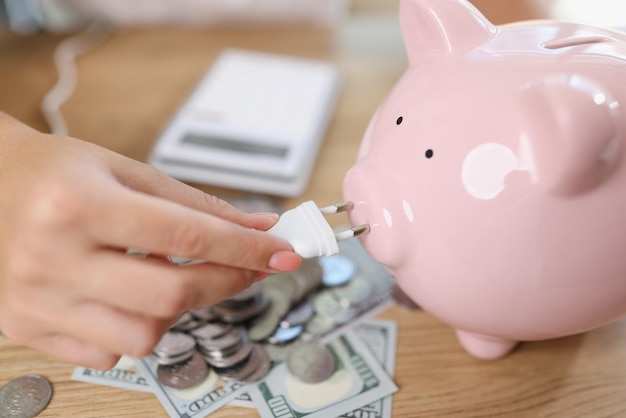 Close-up van spaarvarken met stekker, bankbiljetten en munten online bankieren en energie besparen