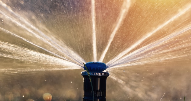 Close up van sprinkler drenken het gazon bij zonsondergang tegen