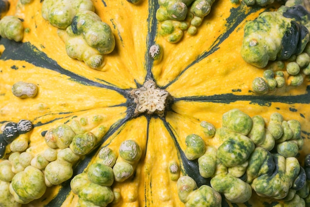 Foto close-up van squash