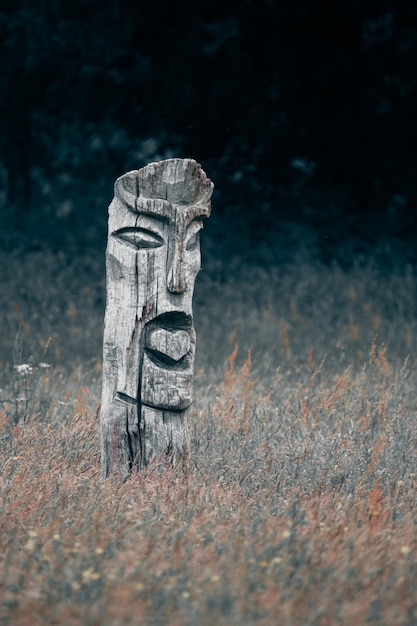 Foto close-up van steen op hout