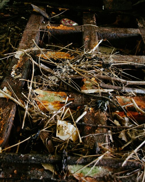 Foto close-up van takken op de grond