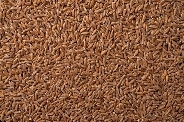 Close-up van tarwe, rogge en gerst graan voedsel achtergrond