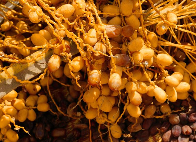 Close-up van te koop aangeboden fruit