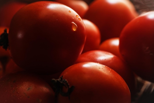 Close-up van tomaten met dauwdruppels