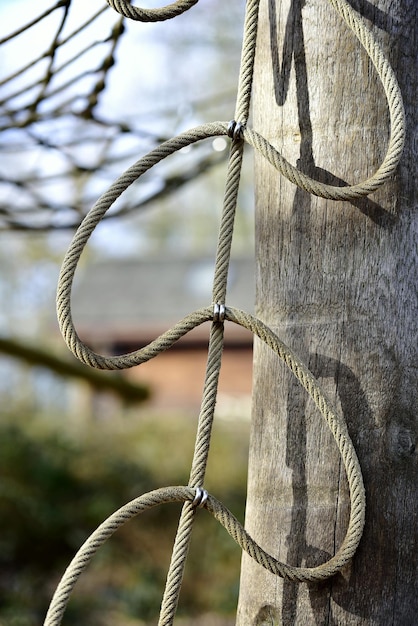 Foto close-up van touw tegen hout