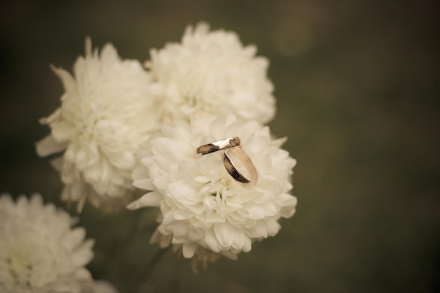 Close-up van trouwringen op witte bloem