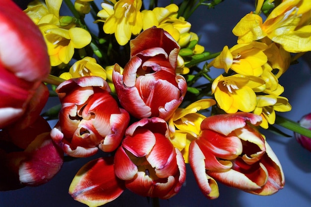 Foto close-up van tulpen in een vaas