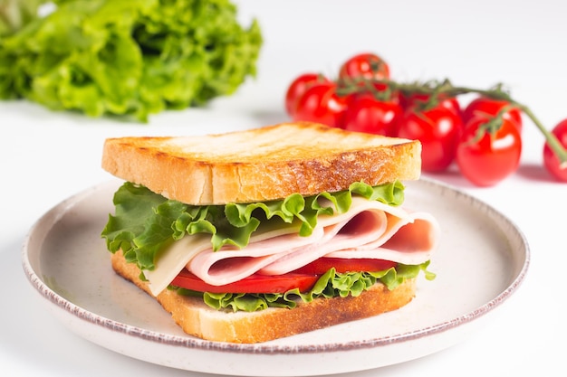 Close-up van twee geroosterde sandwiches met verse ham, kaas en groenten op achtergrond.